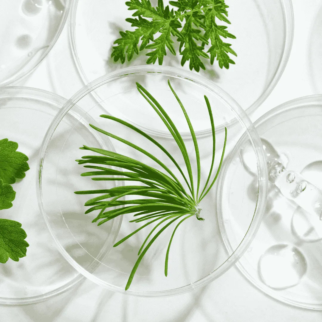 6 ZUTATEN, DIE SIE DIESES JAHR AUS IHRER ROUTINE VERBRINGEN SOLLTEN